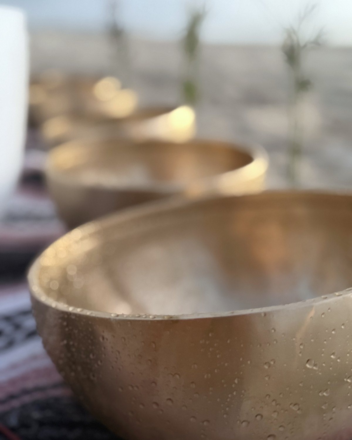 Close on the rim of a bowl, the morning light on the brass